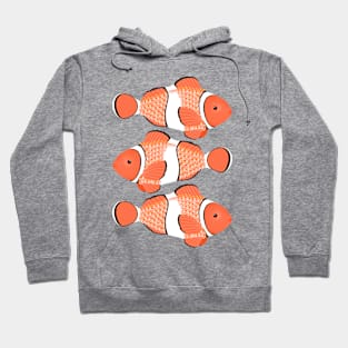 Clown fish - Mandarin Garnet Hoodie